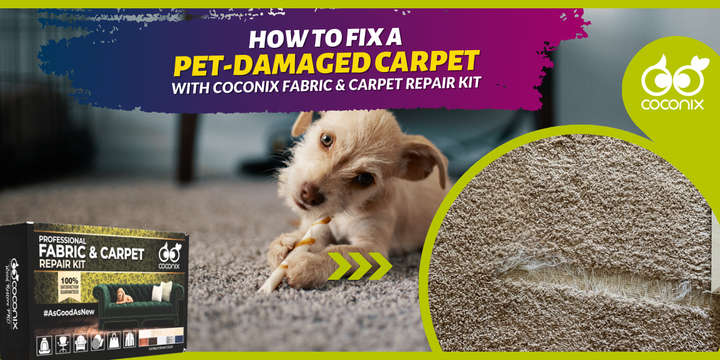 How to fix a pet-damaged carpet