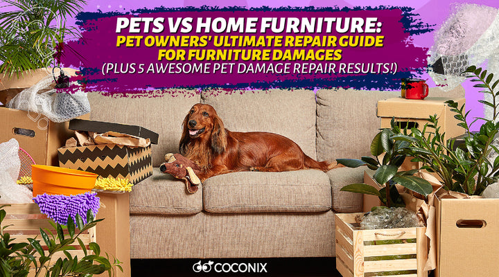 Pets Vs Home Furniture 2.0: Pet Owners' Ultimate Repair Guide for Furniture Damages (Plus 5 Awesome Pet Damage Repair Results!)