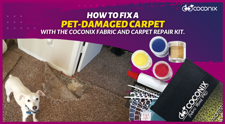 How to fix a pet-damaged carpet