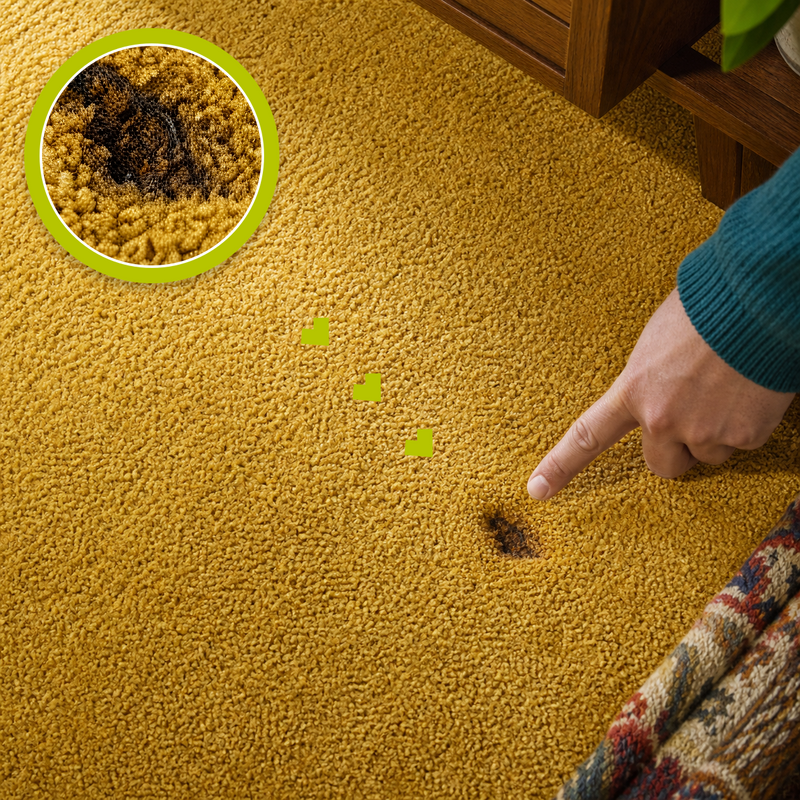Natural cigarette burn in mustard-gold carpet with a matching magnified close-up and a hand pointing beside the damage