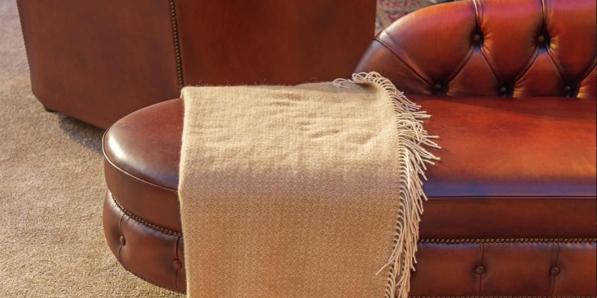 Torn Couch? Not Anymore!