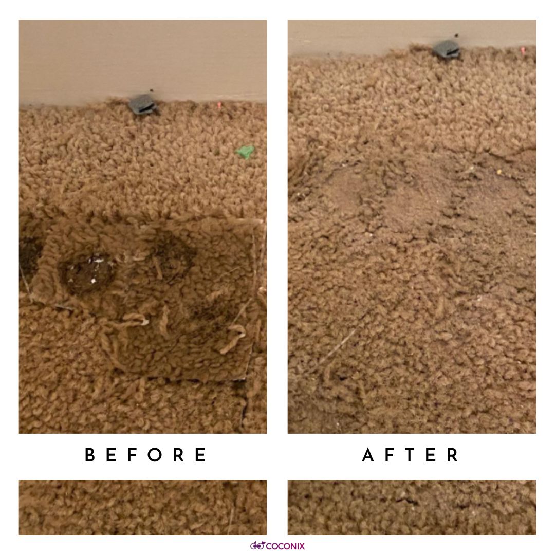 Carpet repair before and after