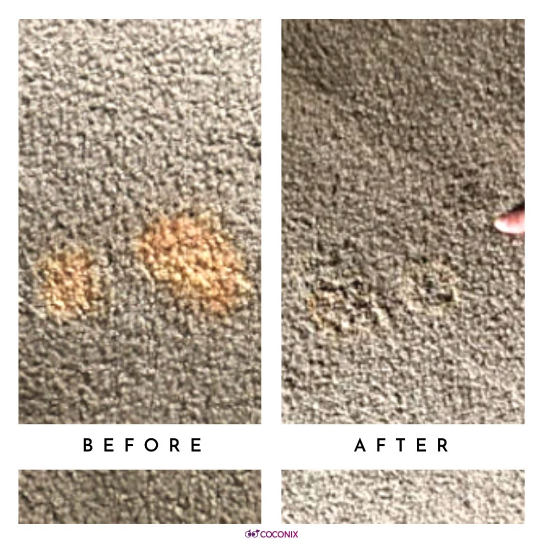 Carpet stain color repair before and after