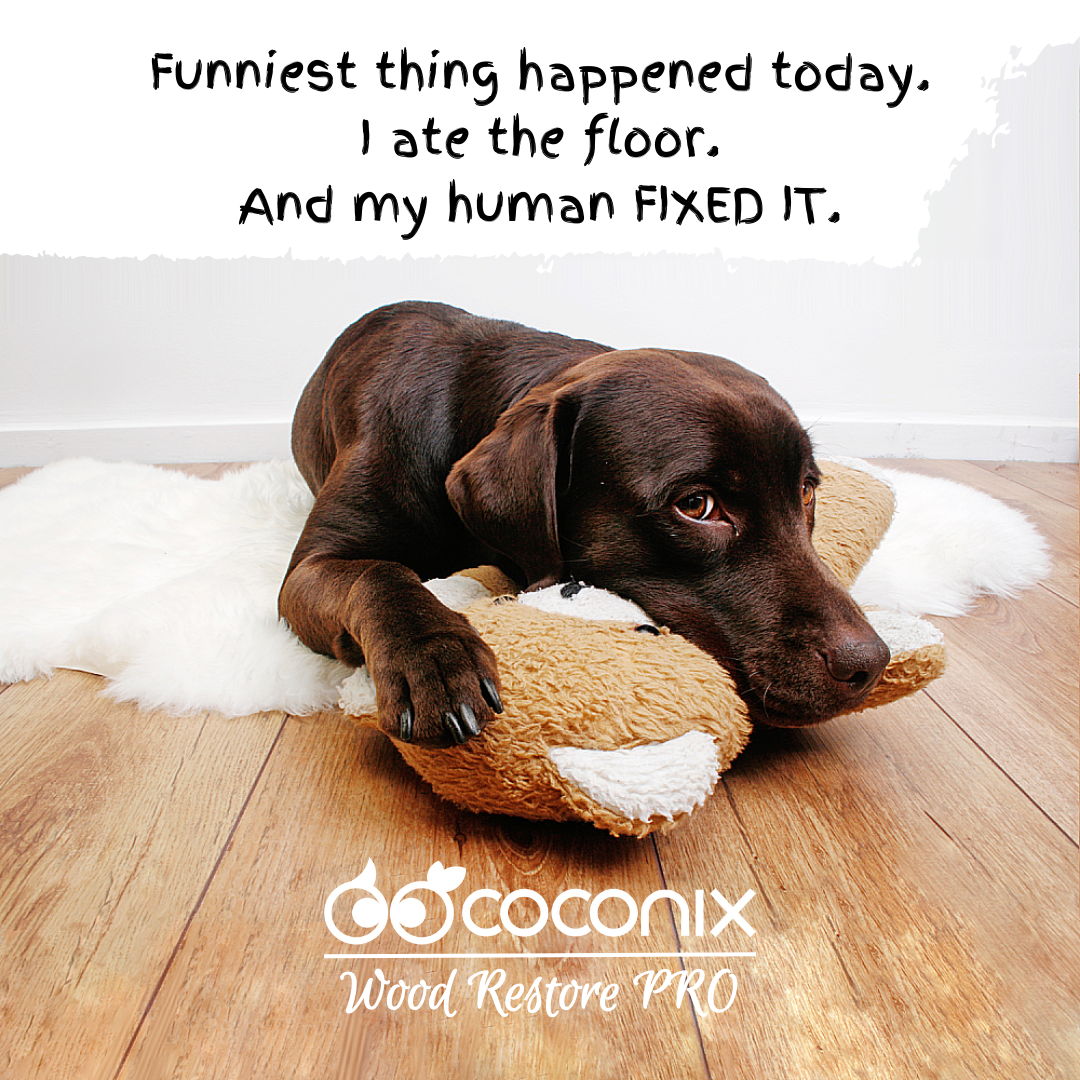 Dog resting on a repaired wooden floor with Coconix Wood Restore PRO branding