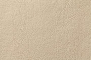 Beige / Taupe leather or vinyl color reference for the Coconix Leather & Vinyl Repair Kit color recipe.
