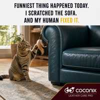 Cat beside a leather sofa with natural claw scratches in a Coconix Leather Care PRO scene
