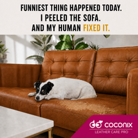 Dog resting beside a faded and peeling cognac tan leather sofa for Coconix Cognac Tan Recoloring Balm