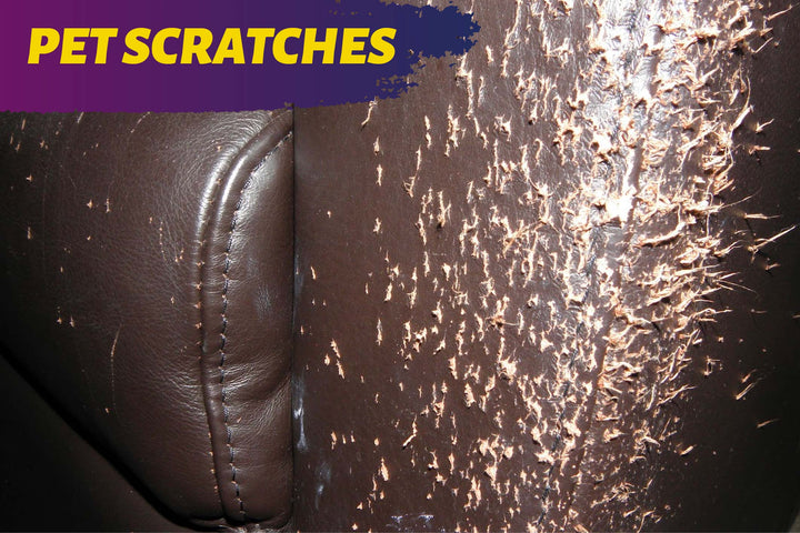 How to Repair Leather and Vinyl Pet Scratches - Leather Repair Instructions using the Coconix Leather and Vinyl Repair Kit - Leather and Vinyl Repair Kits - Leather repair kit - Vinyl Repair kit - Coconix Professional Leather and Vinyl Repair Kits