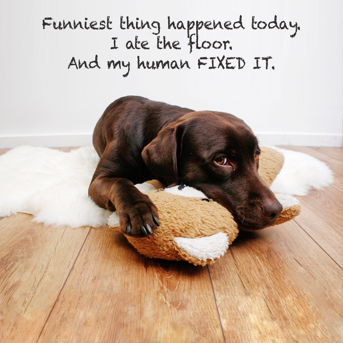 Coconix Floor and Furniture Repair Kit